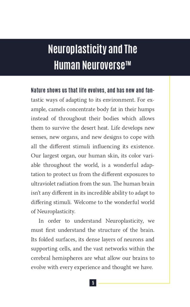 Neuroplasticity Interior Sample_page-0011