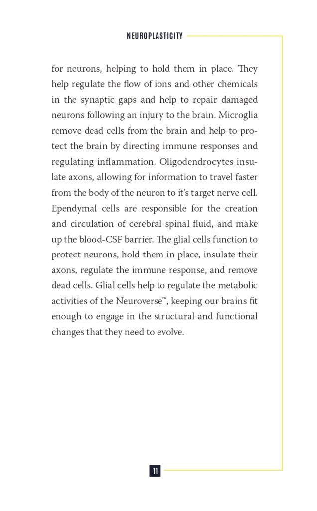 Neuroplasticity Interior Sample_page-0017