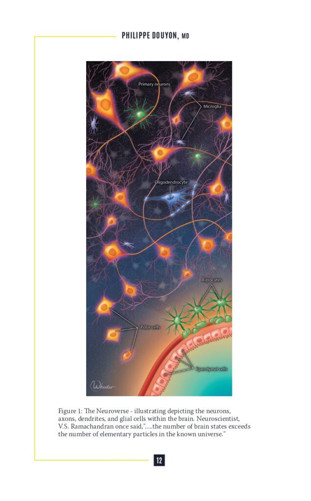 Neuroplasticity Interior Sample_page-0018