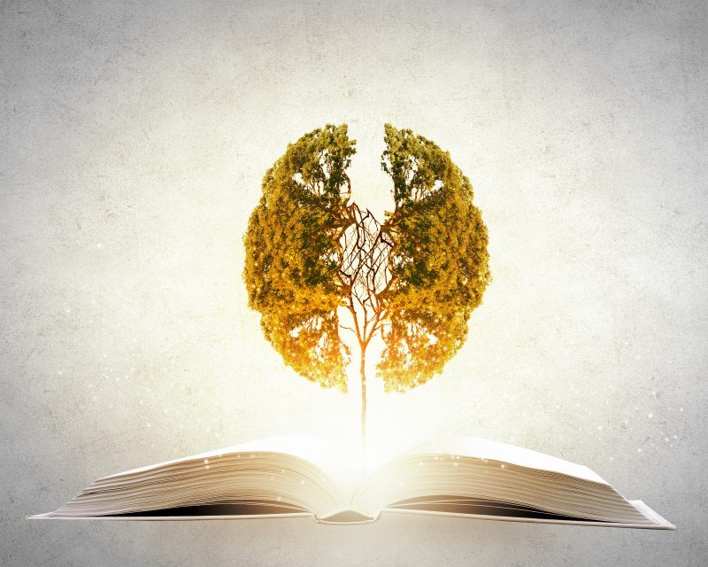 Book_Publishing_Company-800x640