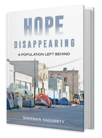 hope disappearing book