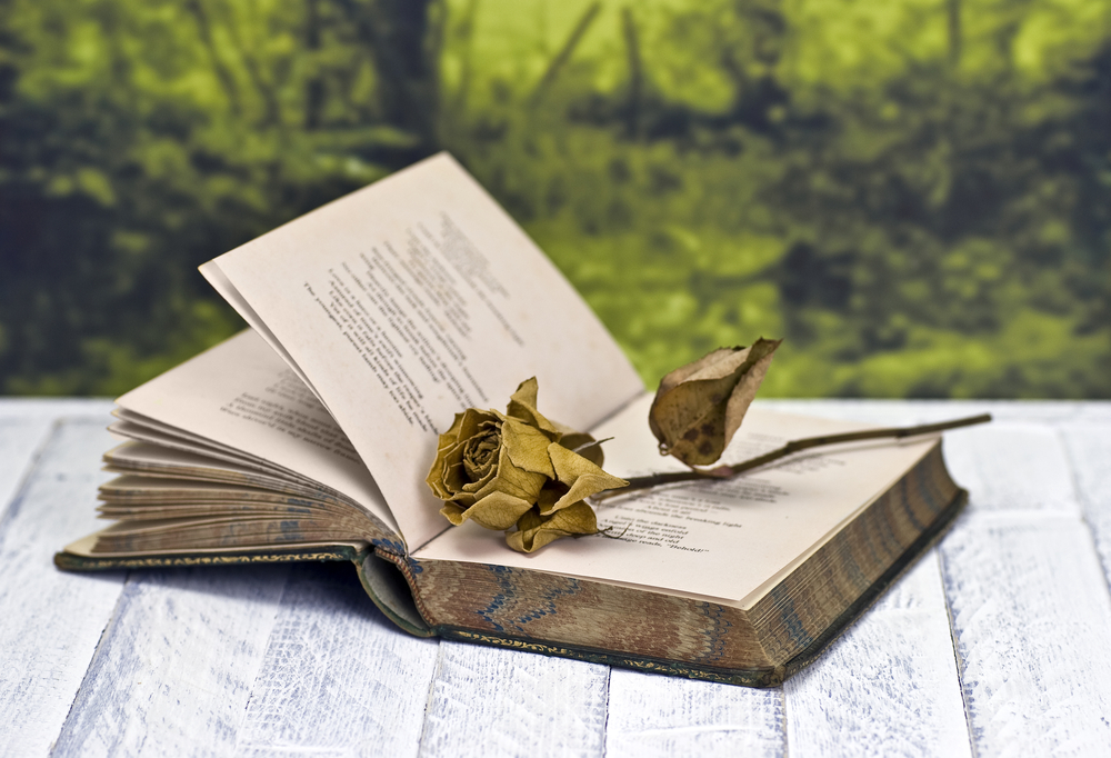 poetry book