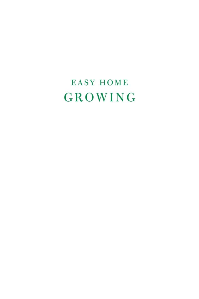 Easy Home Growing Sample Interior_page-0001
