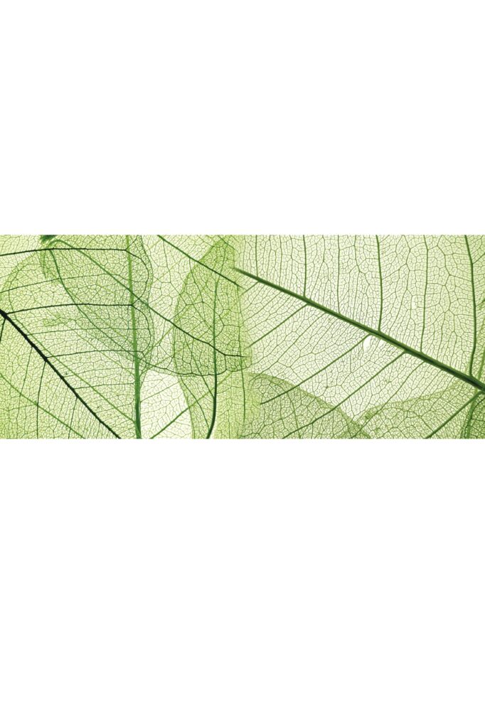 Easy Home Growing Sample Interior_page-0009