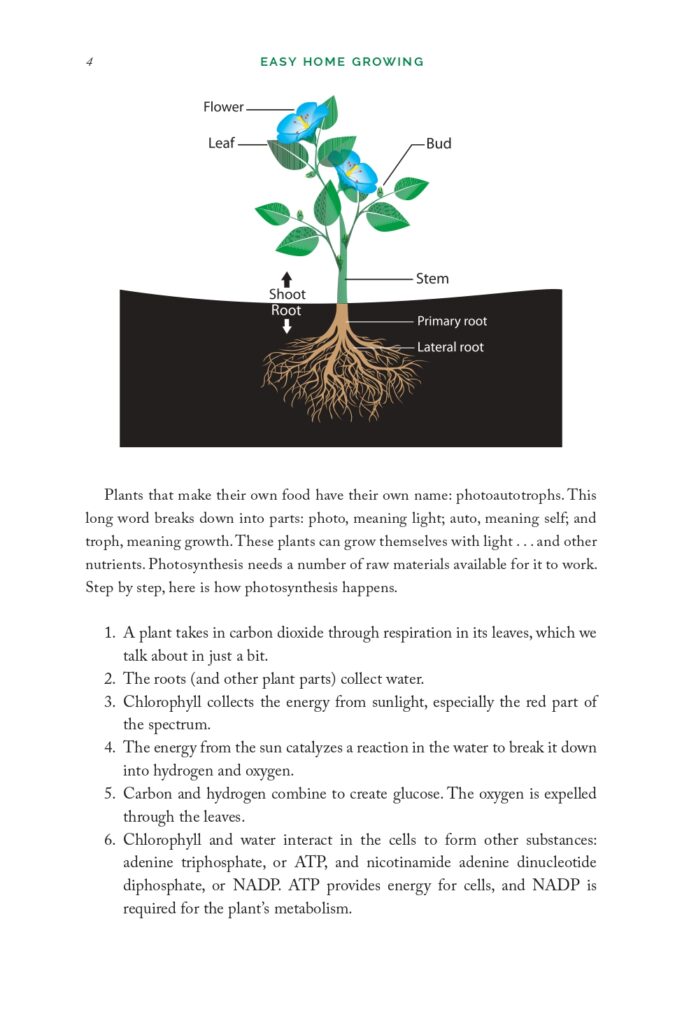 Easy Home Growing Sample Interior_page-0011