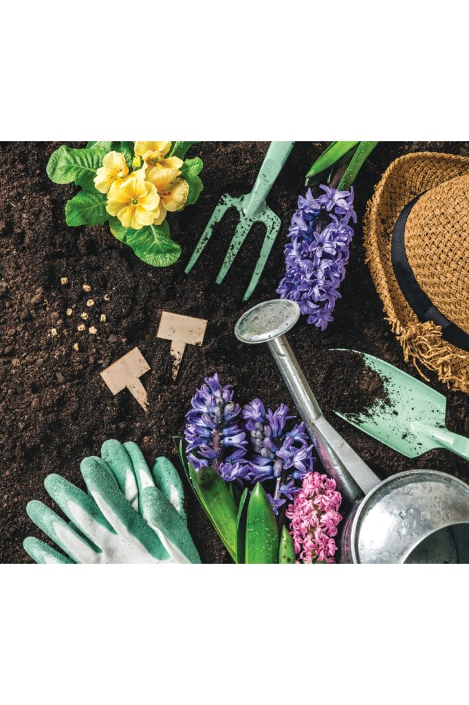 Easy Home Growing Sample Interior_page-0012