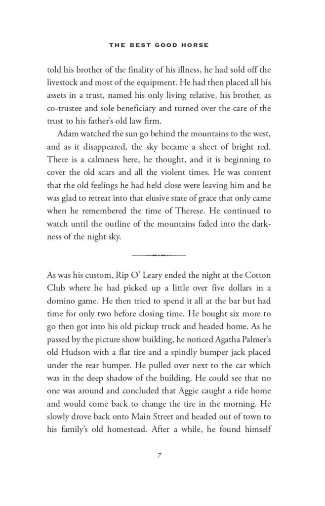 The Best Good Horse Sample Interior_page-0017