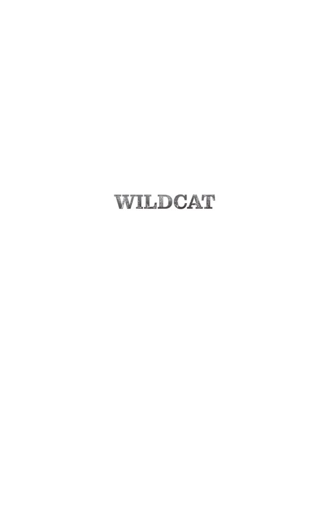 Wildcat Final Interior Sample_page-0001