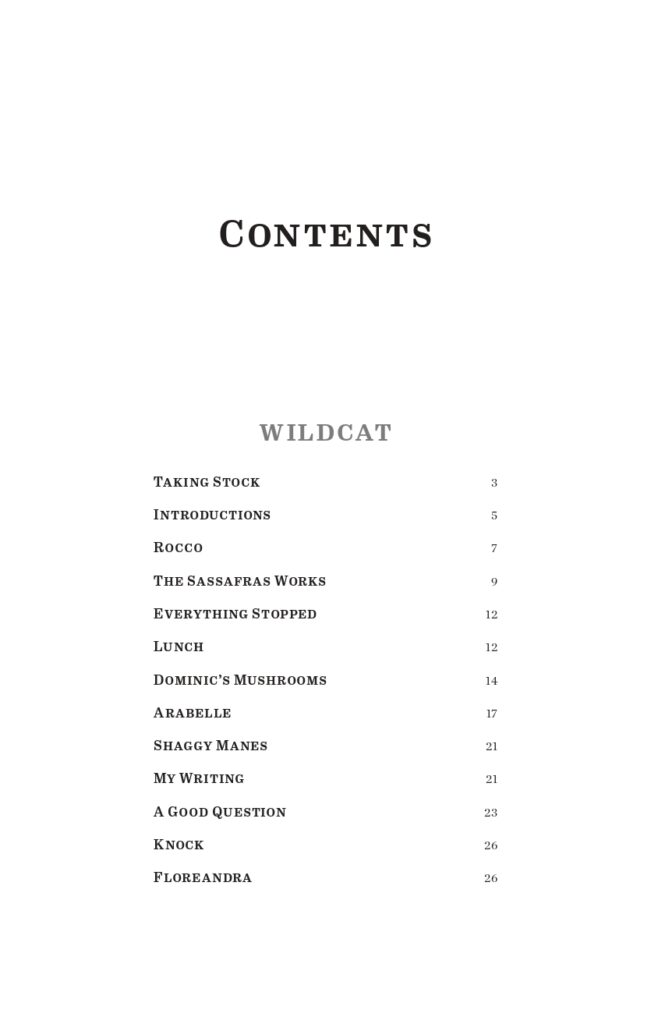 Wildcat Final Interior Sample_page-0007