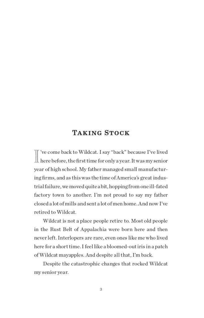 Wildcat Final Interior Sample_page-0011