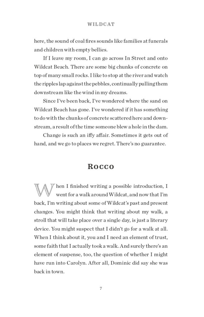 Wildcat Final Interior Sample_page-0015