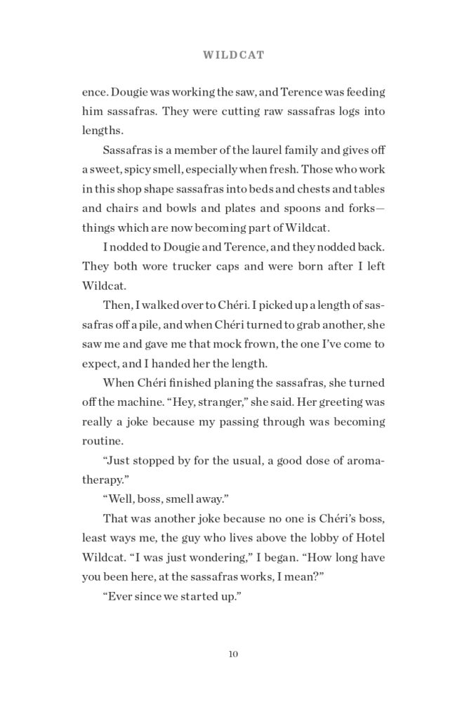 Wildcat Final Interior Sample_page-0018