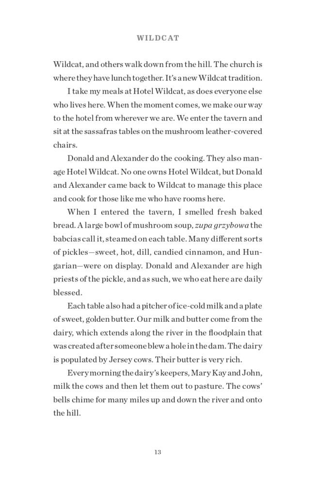 Wildcat Final Interior Sample_page-0021