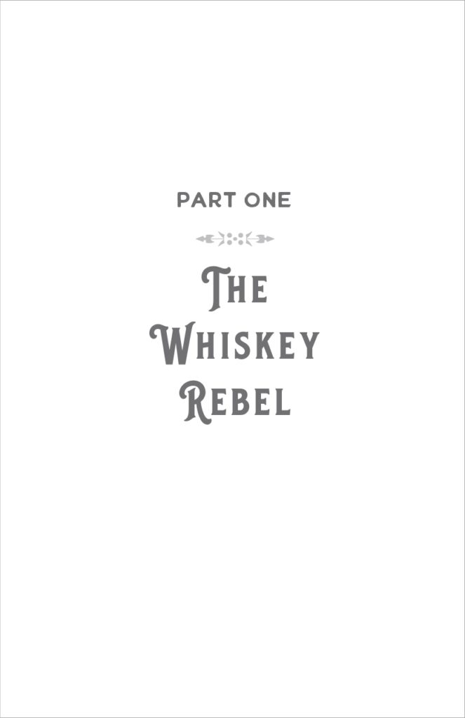 Whiskey Rebel Interior Sample_page-0013