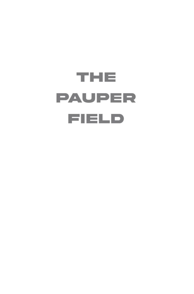 The Pauper Field Sample Interior_page-0001