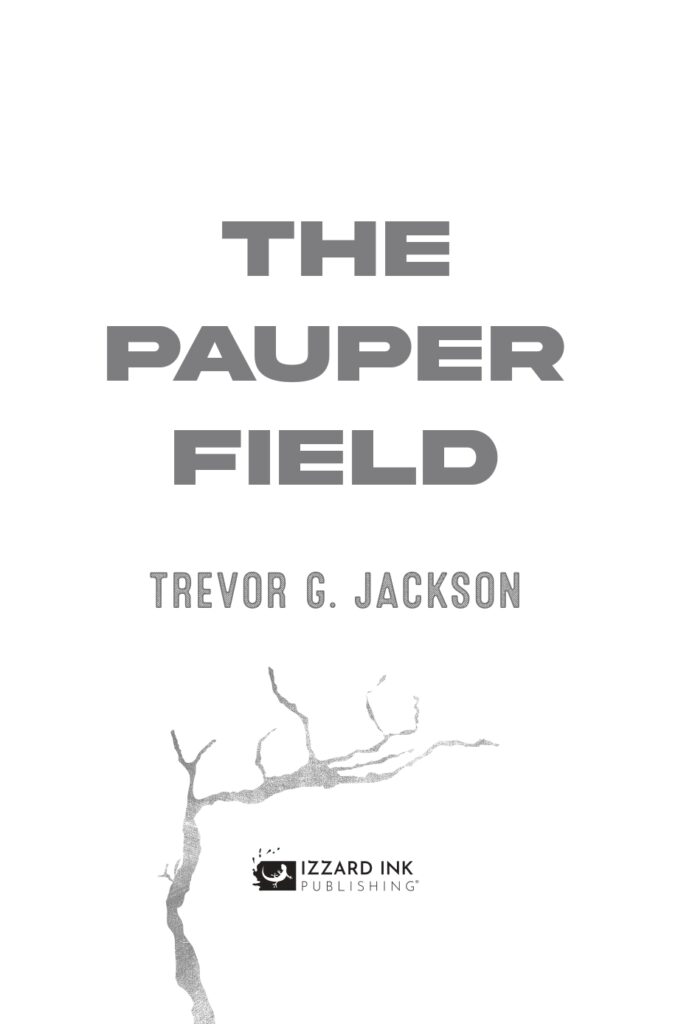 The Pauper Field Sample Interior_page-0003