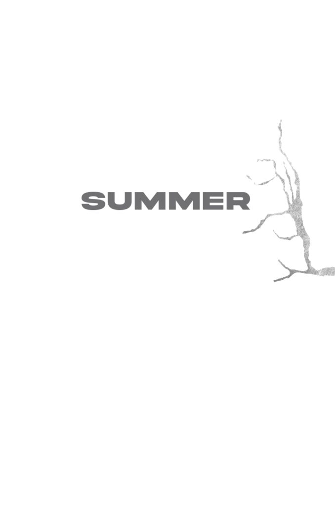 The Pauper Field Sample Interior_page-0005