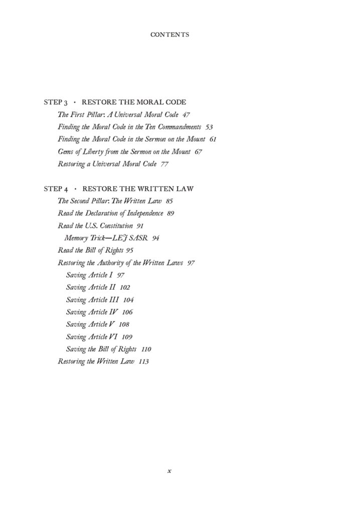 How to Save the Constitution Interior Sample_page-0010