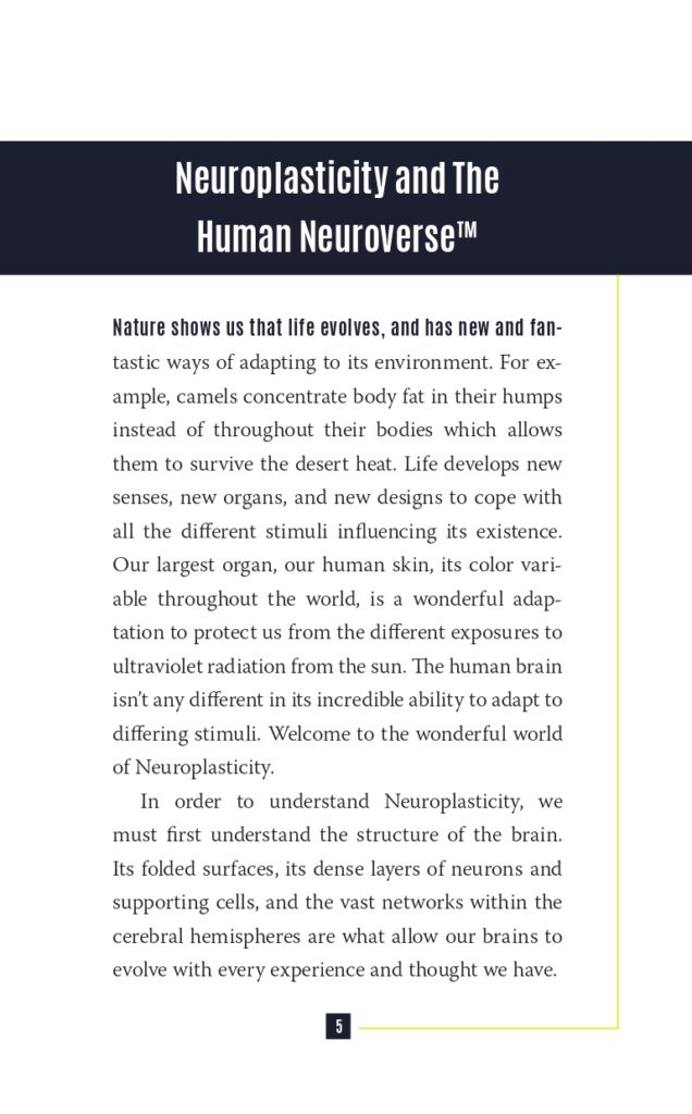 Neuroplasticity Interior Sample (1)_page-0015