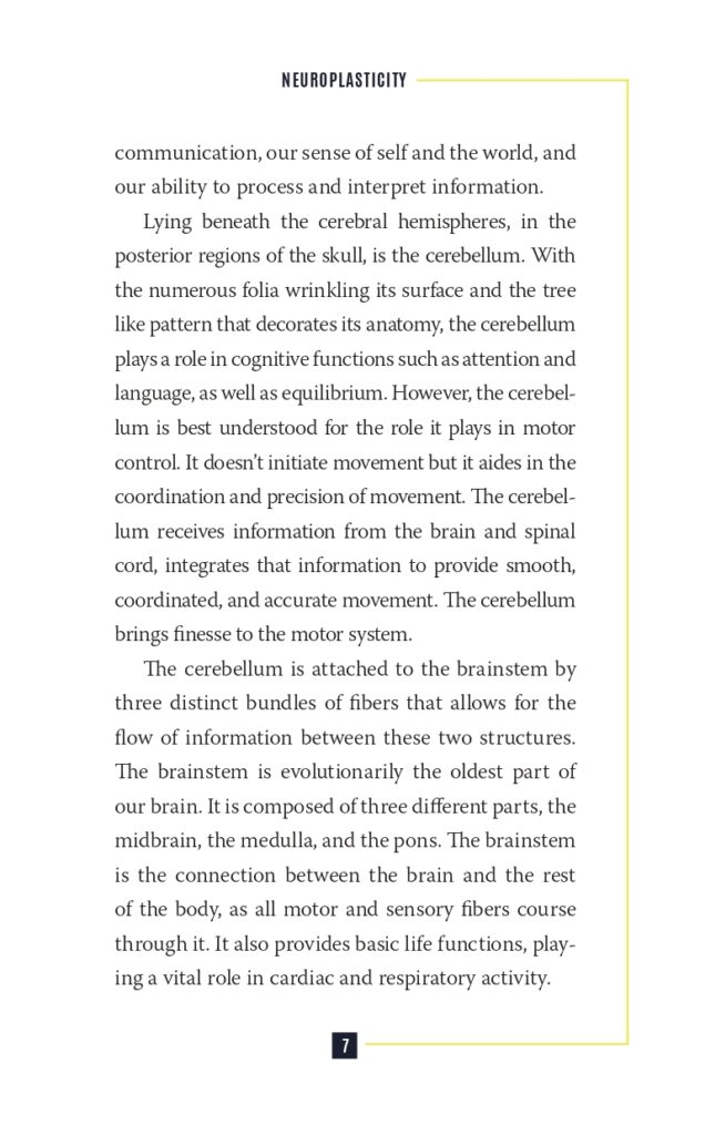 Neuroplasticity Interior Sample (1)_page-0017